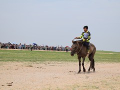 Соён гэгээрүүлэгч говийн V ноён хутагт Данзанравжаагийн мэлмий гийсний 215 жилийн ой, говийн бүсийн уралдаанд эхний 10-т хурдалсан хурдан их насны морьд