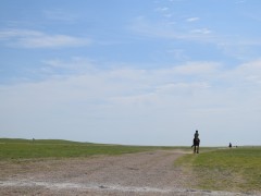 Говийн бүсийн уралдааны эрлийз дээд ангилалд эхний 10-т хурдалсан хурдан хүлгүүд