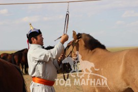 Аймгийн Алдарт уяач Н.Амгалан:” Сүүлийн үеийн тоног төхөөрөмж бүхий адууны эмнэлэг барьна”