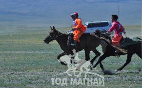 Өмнөговь аймгийн Булган сумын уяач Бадарчийн Азбилэгийн хээр алаг. Сумын болон бага наадамд хоёр түрүүлж гурван айрагдсан.