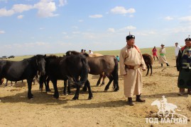 Аймгийн Алдарт уяач Х.Мөнхбат:Аймгийн наадмын цээжний арван адууг бараг л хэлчихдэг