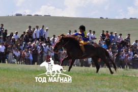 АХ-ын 89 жилийн ойн улсын баяр наадмын хурдан азарганы фото