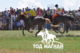 АХ-ын 89 жилийн ойн улсын баяр наадмын хурдан азарганы фото