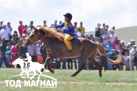 АХ-ын 89 жилийн ойн улсын баяр наадмын хурдан азарганы фото