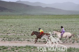 Айргийн дөрөв Өвөрхангай аймгийн Хайрхандулаан сумын уугуул МУ-ын Алдарт уяач Б.Отгоннасангийн хүрэн