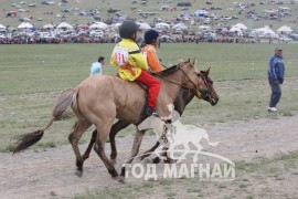 Аман хүзүү Өвөрхангай аймгийн Хайрхандулаан сумын уугуул МУ-ын Алдарт уяач Б.Отгоннасангийн хул