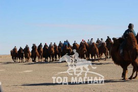 Хил дамнан цуурайтсан хоёр түмэн тэмээний баяраас...