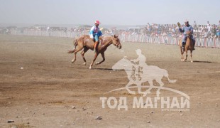 МУ-ын Манлай уяач Д.Бат-Эрдэнийн хонгор