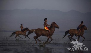 Индонези уралдааны ялагч хоёр үхрээр шагнуулдаг