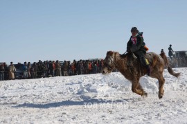 Сүхбаатарын аварга хүлэг шалгаруулах уралдааны их нас