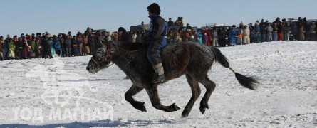 Сүхбаатарын аварга хүлэг шалгаруулах уралдааны их нас