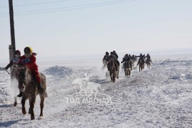 Сүхбаатарын аварга хүлэг шалгаруулах уралдааны их нас