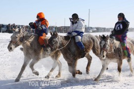 Сүхбаатарын аварга хүлэг шалгаруулах уралдааны их нас