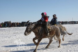 Сүхбаатарын аварга хүлэг шалгаруулах уралдааны их нас