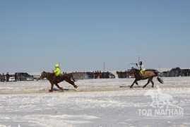 Сүхбаатар аймгийн аварга хүлэг шалгаруулах уралдаанд түрүүлж айрагдсан хурдан соёолонгууд