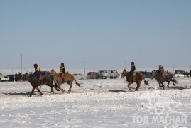 Сүхбаатар аймгийн аварга хүлэг шалгаруулах уралдаанд түрүүлж айрагдсан хурдан соёолонгууд