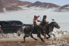 Аман хүзүү – Хөвсгөл аймгийн Тосонцэнгэл сумын уяач М.Бат-Очирын халтар Азарга