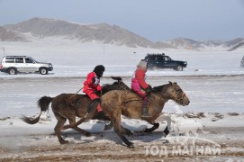 Айргийн тав – Хөвсгөл аймгийн Тариалан сумын уяач Д.Түвшинжаргалын Халиун соёолон