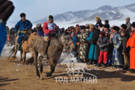 Айргийн тав – Хөвсгөл аймгийн Тариалан сумын уяач Д.Түвшинжаргалын Халиун соёолон