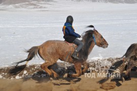 Аман хүзүү – Хөвсгөл аймгийн Мөрөн сумын уяач Л.Ганболдын Хул соёолон 