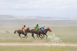 Айргийн дөрөвт хурдалсан МУ-ын Тод манлай уяач Д.Цэрэнжигмэдийн зээрд 