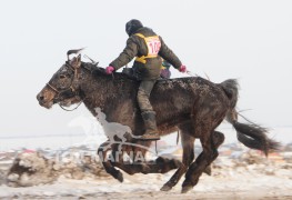 Айргийн гуравт хурдалсан Сэлэнгэ аймгийн Сант сумын уугуул Далайтүвшингийн халтар 