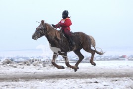 Эрлийз ангилалд аман хүзүүнд хурдалсан Сэлэнгэ аймгийн Сүхбаатар сумын уугуул, аймгийн Алдарт уяач Д.Энхтайваны цавьдар