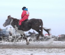 Эрлийз ангилалд айргийн тавт хурдалсан Сэлэнгэ аймгийн Алтанбулаг сумын уугуул О.Баяржаргалын хүрэн бор