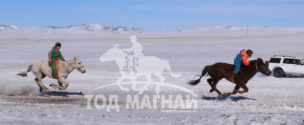 “Дүнжингарав”-ын өнгийг Цагаан хөтөлийн сунгаа тодорхойллоо