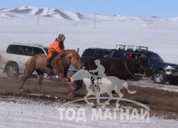 “Дүнжингарав”-ын өнгийг Цагаан хөтөлийн сунгаа тодорхойллоо