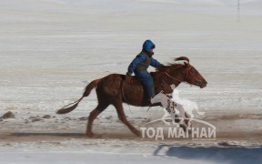 “Дүнжингарав”-ын өнгийг Цагаан хөтөлийн сунгаа тодорхойллоо