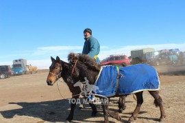 “Дүнжингарав”-ын өнгийг Цагаан хөтөлийн сунгаа тодорхойллоо