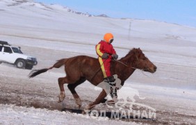 “Дүнжингарав”-ын өнгийг Цагаан хөтөлийн сунгаа тодорхойллоо