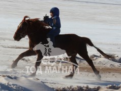 “Дүнжингарав”-ын өнгийг Цагаан хөтөлийн сунгаа тодорхойллоо