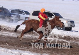 “Дүнжингарав”-ын өнгийг Цагаан хөтөлийн сунгаа тодорхойллоо