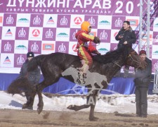 “Дүнжингаравын хурд-2013” хаврын бүсийн уралдаанд түрүүлж, айрагдсан хурдан азарганууд