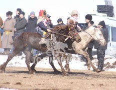 “Дүнжингаравын хурд-2013” хаврын бүсийн уралдаанд түрүүлж, айрагдсан хурдан азарганууд