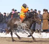 “Дүнжингаравын хурд-2013” хаврын бүсийн уралдаанд түрүүлж, айрагдсан хурдан азарганууд