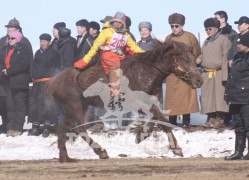 “Дүнжингаравын хурд-2013” хаврын бүсийн уралдаанд түрүүлж, айрагдсан хурдан азарганууд