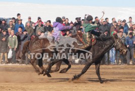 айргийн тавт хурдалсан Х.Бат-Эрдэнийн хүрэн