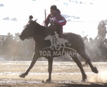 “Дүнжингаравын хурд-2013” хаврын бүсийн уралдаанд түрүүлж айрагдсан хурдан морьд