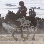 “Дүнжингаравын хурд-2013” хаврын бүсийн уралдаанд түрүүлж айрагдсан хурдан морьд