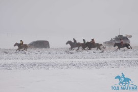 “Дүнжингаравын хурд -2011” уралдааны эргэн тойронд…