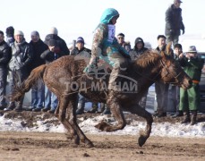 “Дүнжингаравын хурд-2013” хаврын бүсийн уралдаанд түрүүлж айрагдсан хурдан соёолонгууд