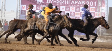 “Дүнжингаравын хурд-2013” хаврын бүсийн уралдаанд түрүүлж айрагдсан хурдан соёолонгууд