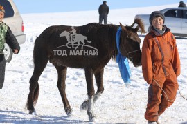 Эрдэнэтийн бүсийн уралдааны эрлийз ангилалд түрүүлж айрагдсан хүлгэд