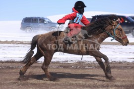 айргийн гуравт хурдалсан Тод манлай уяач Г.Батхүүгийн хул