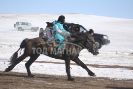 Эрдэнэтийн бүсэд түрүүлж, айрагдсан хурдан азарганууд