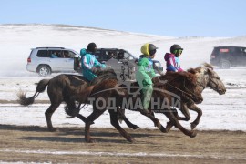 Эрдэнэтийн бүсэд түрүүлж, айрагдсан хурдан азарганууд