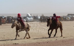 Хурдан их насны морьд байранд орж буй нь